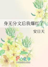身无分文后我爆红了 安日天